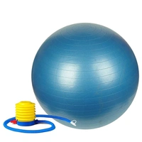 0580 ANTI-BURST GYM BALL WITH PUMP (75 CM), Yoga Training Ball