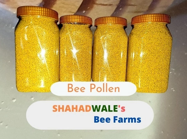 SHAHADWALE Mustard Bee Pollen 500g – Pure Superfood for Energy & Immunity - 500gm