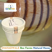 SHAHADWALE Lychee Honey / Litchi Honey - Bulk for Brands & Wholesalers - 28Kg