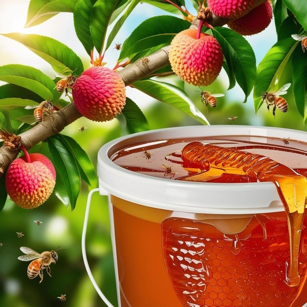 SHAHADWALE Lychee Honey / Litchi Honey - Bulk for Brands & Wholesalers - 28Kg