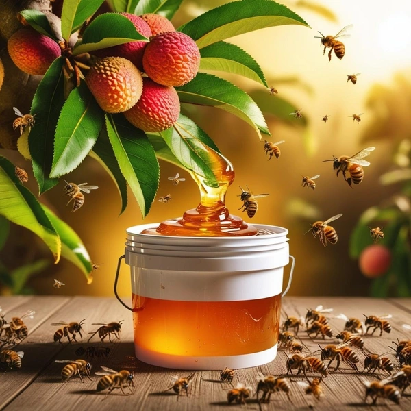 SHAHADWALE Lychee Honey / Litchi Honey - Bulk for Brands & Wholesalers - 28Kg