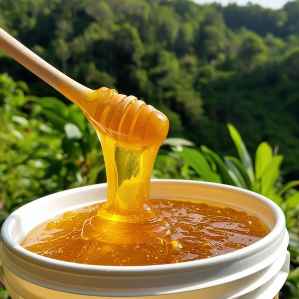 SHAHADWALE Multi Flora Honey | Shivalik Forest Honey | Himaliyan Honey - 500 Gm, Premium Quality