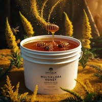 SHAHADWALE Multi Flora Honey | Shivalik Forest Honey | Himaliyan Honey - 500 Gm, Premium Quality