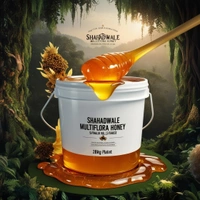 SHAHADWALE Multi Flora Honey | Shivalik Forest Honey | Himaliyan Honey - 500 Gm, Premium Quality