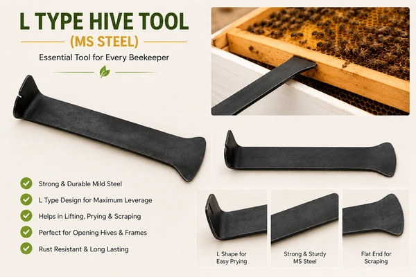 Shahadwale SHAHADWALE MS L-Type Hive Tool – Heavy Duty Beekeeping Frame Lifter & Scraper