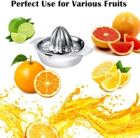 VedaQ Steel Fruit Juicer