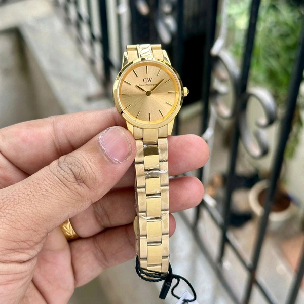 Analog DW00100208 Original Heavy Quality Watch