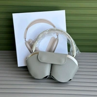 First Time In India | Bluetooth On Ear Headphones with Mic with 6 Hours Battery Backup, Original Box Packaging - Starlight