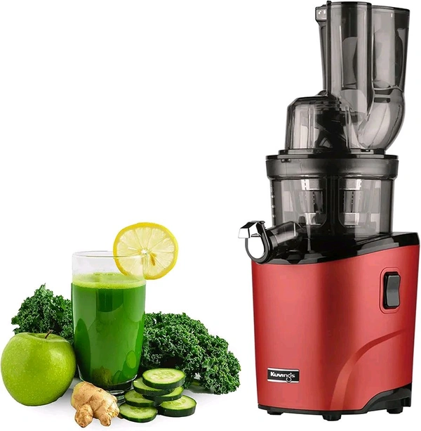 Slow Juicer Machine for Home | Cold Press Juicer for Fruits & Vegetables | Easy to Clean, Low Noise Juicer