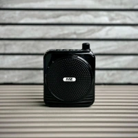Portable Voice Amplifier with Wireless UHF Headset Microphone, Rechargeable Speaker & Long Battery Backup