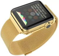 Maxpro iwatch series 7, Series 6,5,4,3,2,1 & SE Compatible For Apple iWatch Band 45mm ,44mm, 42mm Stainless Steel Mesh Loop with Strong Magnet Suitable For All Size (S/M/L) Smart Watch Strap  (Gold) - Rock Spray