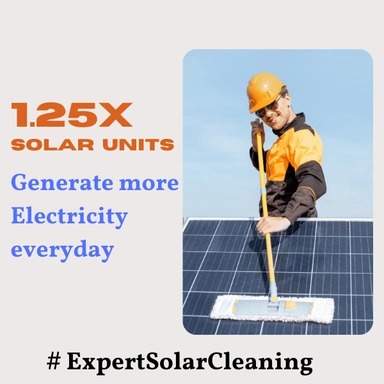 Solar Panel Cleaning Service