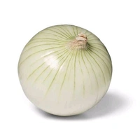 Onion  - White, 500g