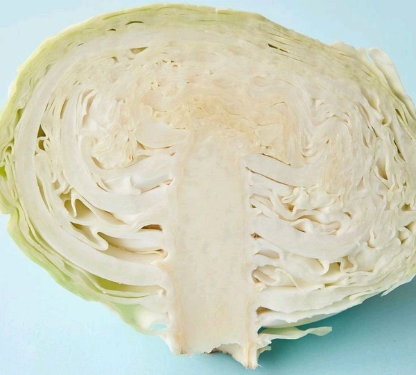 Cabbage - 1 Pic Approx (400g-500g)