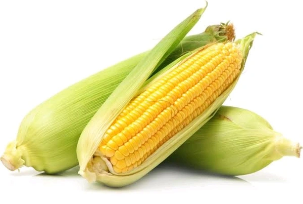 Sweet Corn - 2 Pcs