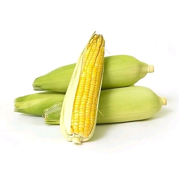Sweet Corn - 2 Pcs