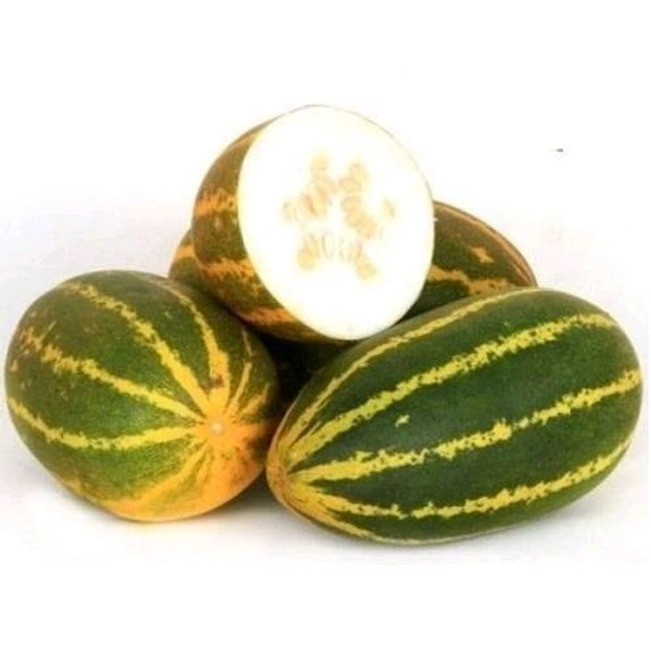 Fresh   Cucumber  - Mangalore, (Approx 500g - 1000g), 1 PC