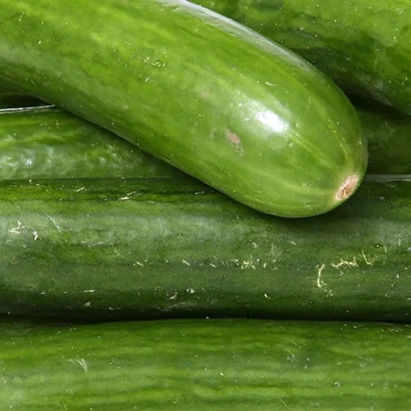 Cucumber - 250 g, English
