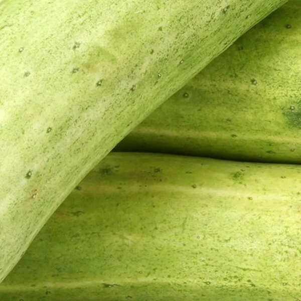 Cucumber - 1KG, (Loose)