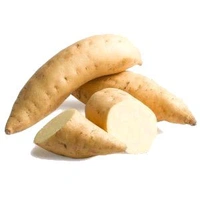 Fresh  Sweet Potato  - 250g
