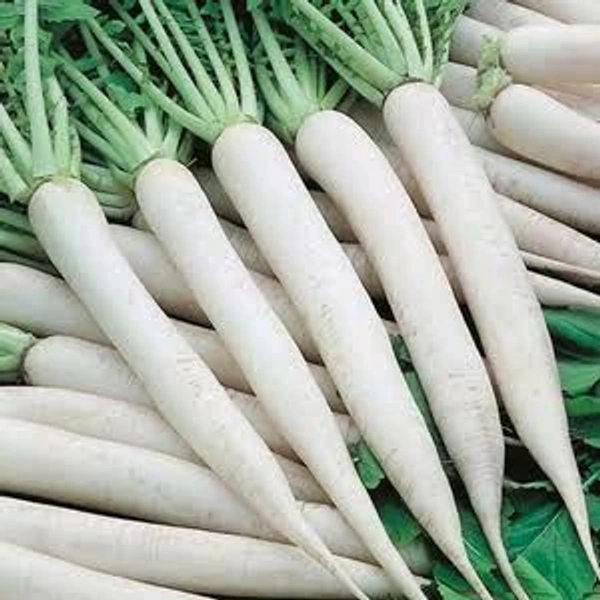 Fresh  Radish - 250g, White, White
