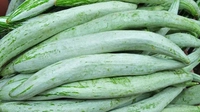 Snake Gourd - 250g