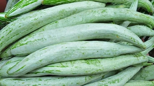 Snake Gourd - 250g