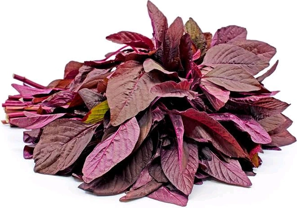 Fresh  Amaranthus  - RED (DANTINA SOPPU), 1/2 Bunch, 250gm