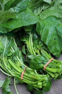 GREEN Amaranths - 1/5 Bunch, Harive Soppu, 250gms
