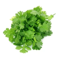 Fresh Coriander Leaves  - 500gm