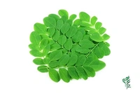 Drumstick Leaves  - Muringa, 100gm