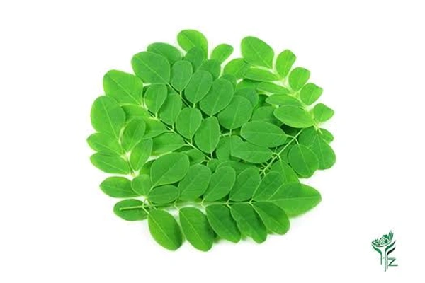 Drumstick Leaves  - Muringa, 100gm