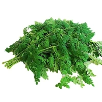 Drumstick Leaves  - Muringa, 100gm