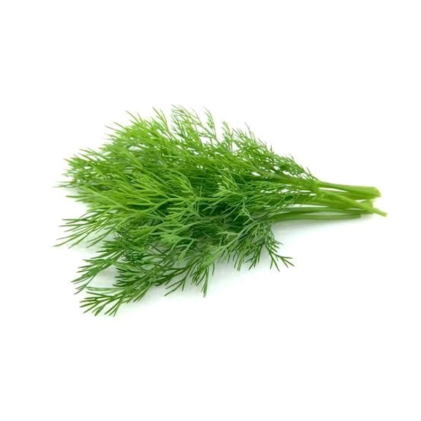Fresh  Dill Leaves Without Roots - 1/2 Bunch, (Sabbasige Soppu)
