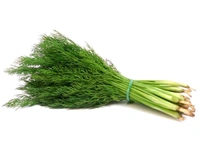 Fresh  Dill Leaves Without Roots - 1/2 Bunch, (Sabbasige Soppu)