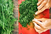 Fresh  Dill Leaves Without Roots - 1/2 Bunch, (Sabbasige Soppu)