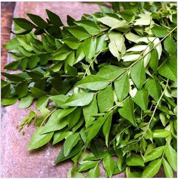 Fresh  Curry Leaves - (KARIBEVU), 1/2 Bunch