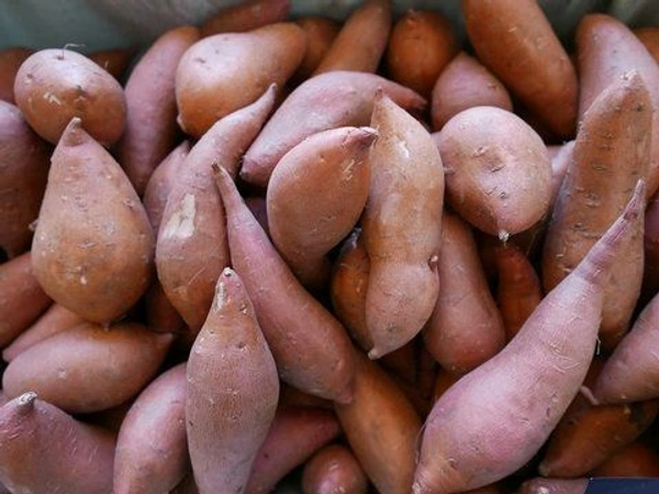 Fresh  Sweet Potato  - 250g