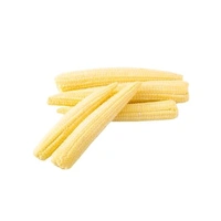 Fresh Baby Corn Peeled - (Peeled), 500g