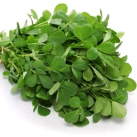 Fenugreek - (Methi), 250g