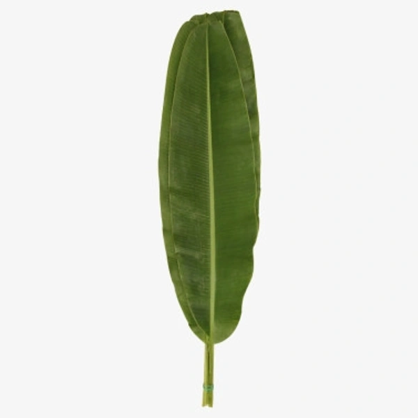 Banana Leaves  - 5 Pc