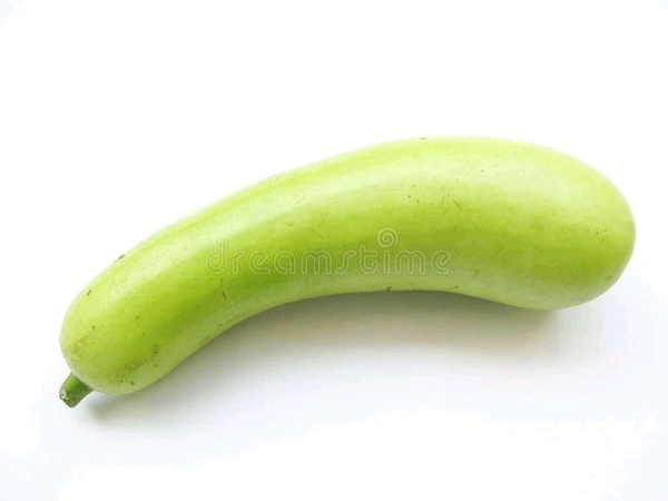 Bottle Gourd  - 1pc (500- 600gm)