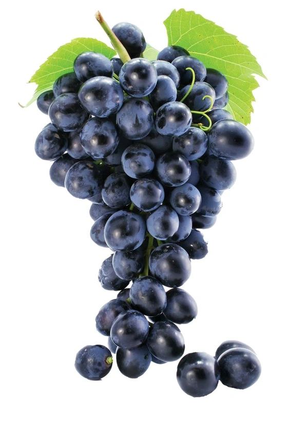 Graps Bangalore Blue - 500 gm
