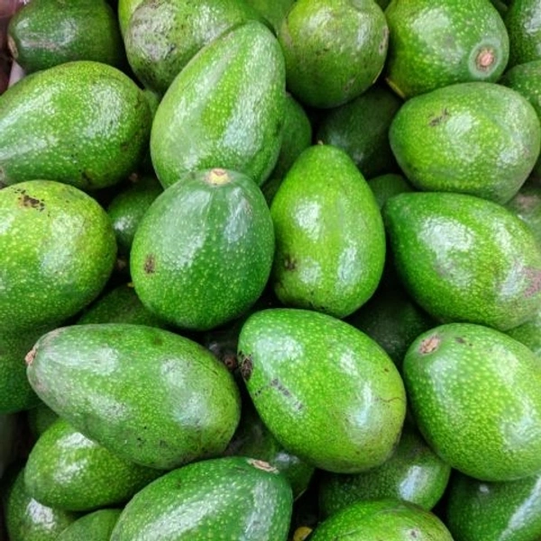 Avocado(Loose) - 500g