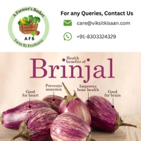 Brinjal (Baigan) - 500 Grams