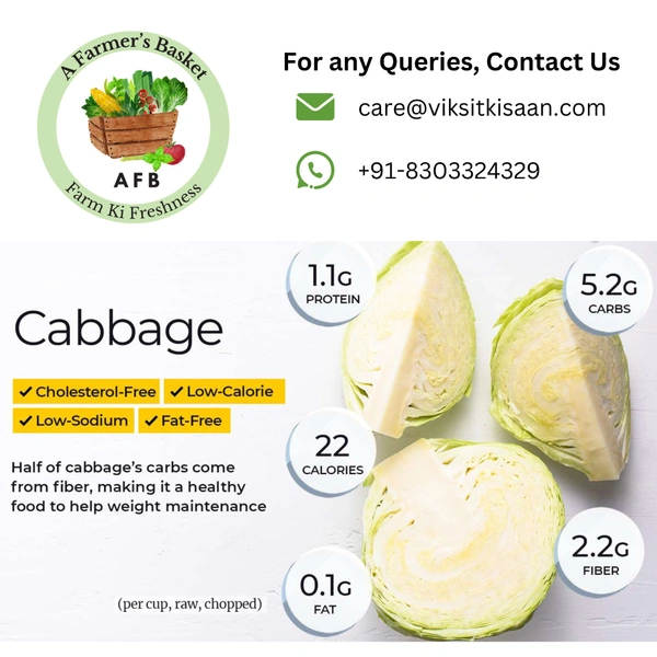 Cabbage (Patta Ghobhi) - 1 Piece (600-800g)