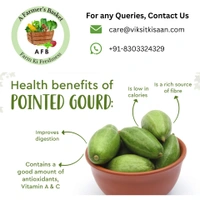 Parwal (Pointed Gourd) - 1 Kg