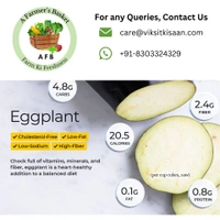 Small Brinjal - 500g