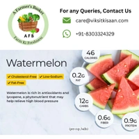 Kiran Watermelon (Tarbuj) - 1 Piece (2 Kg - 3 Kg)
