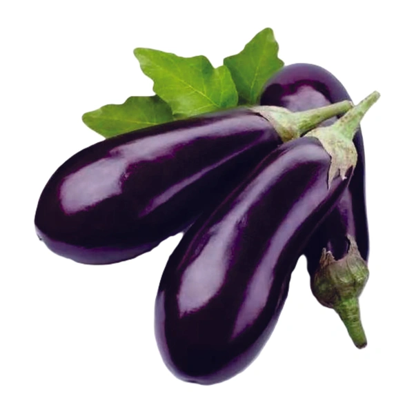 Brinjal (Baigan) - 500 Grams
